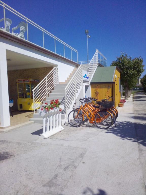 Jízda na kole v ubytování CAMPING TRE ARCHI nebo okolí