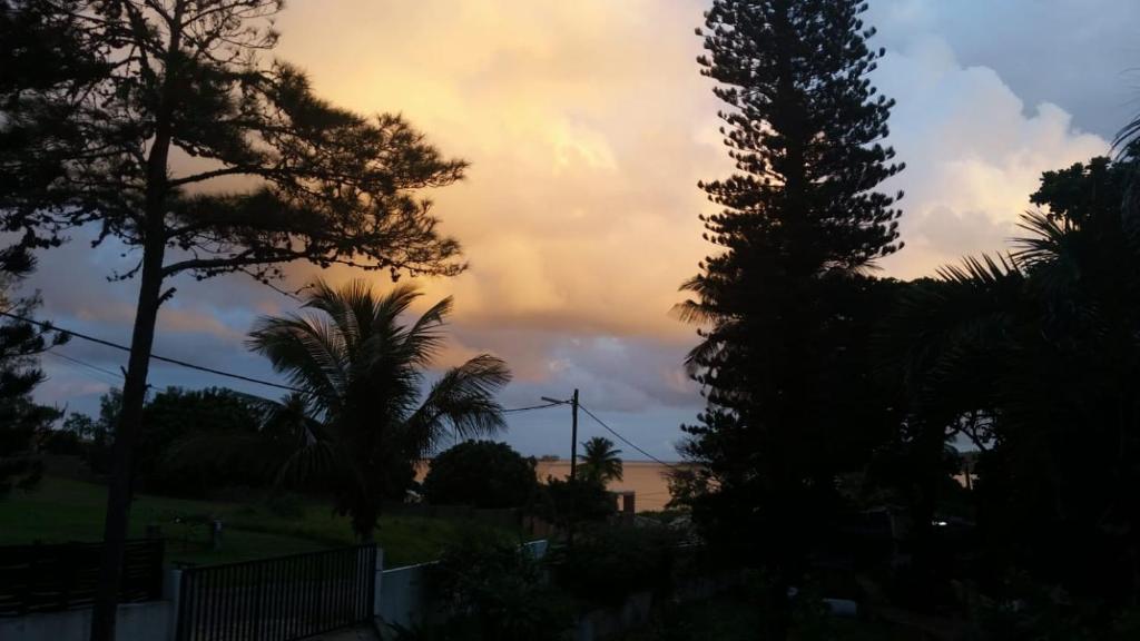 un cielo nuvoloso con alberi e una palma di Joao's Place a Vila Praia Do Bilene
