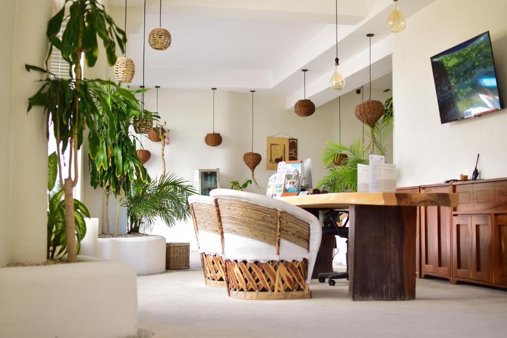 an office with a desk with a chair and potted plants at 40 Cañones in Mahahual