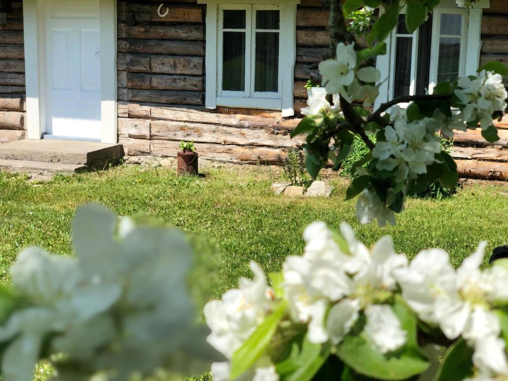 Zahrada ubytování Lootsimaja - Pilot's House - Orjaku Harbour