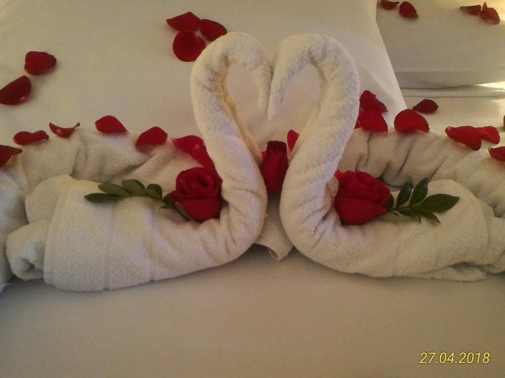  Molise Hotel Fazenda