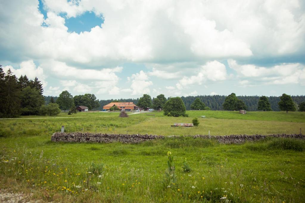 a field with a stone wall and a house in the distance at Bois-raiguel chasseral in Corgémont