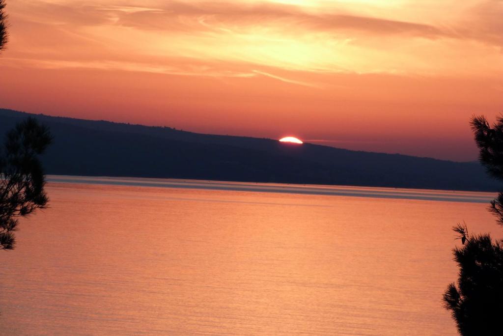 Příroda nedaleko apartmánu