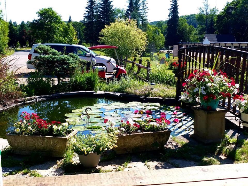 Zahrada ubytování Dwight Riverside Inn