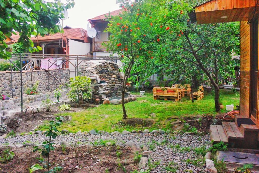 Zahrada ubytování Oasis Mtskheta