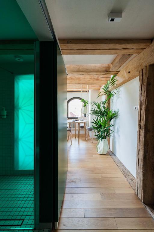 Apartamenty Monka - Resim 36