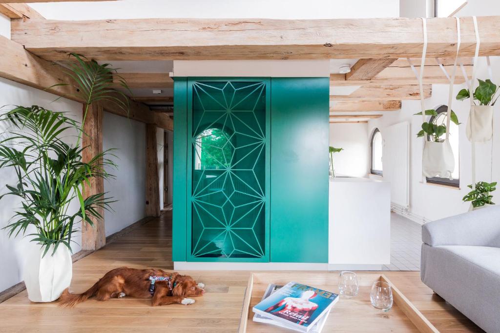a dog laying in a living room with a green door at Apartamenty Monka in Toruń