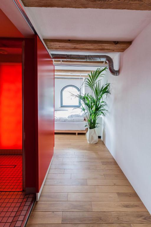 Apartamenty Monka - Resim 37