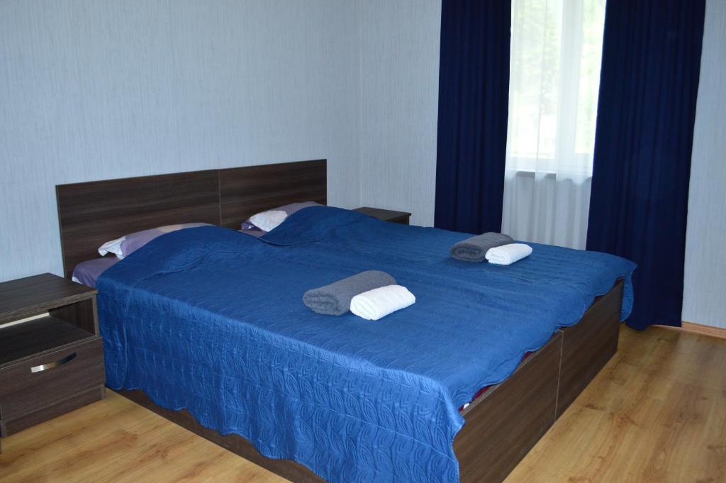 Postel nebo postele na pokoji v ubytování SHODA