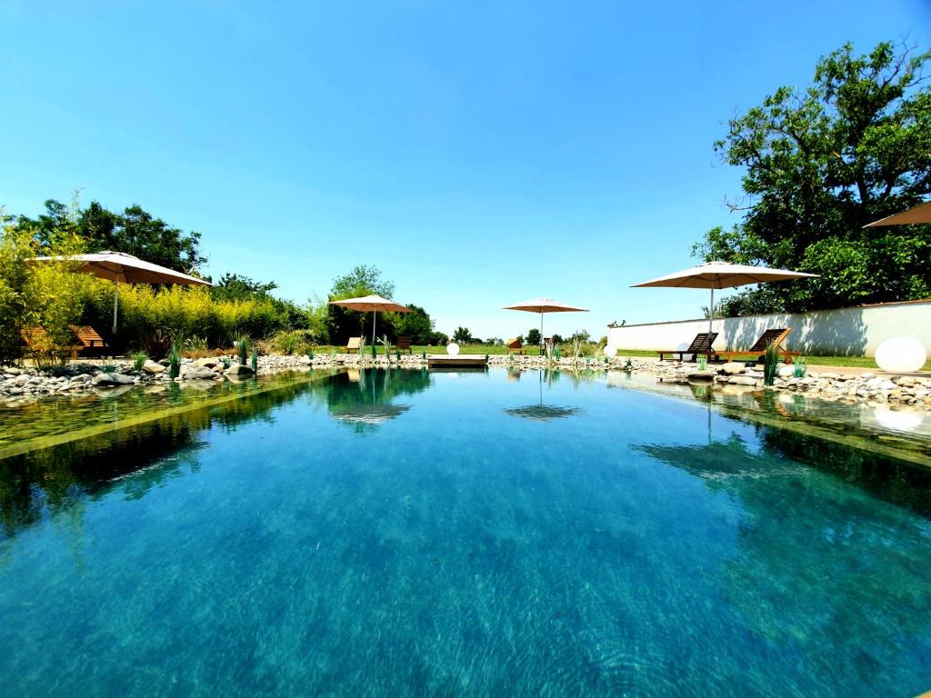 a pool of blue water with chairs and umbrellas at Les Granges de Jules in Lafitte-Vigordanne