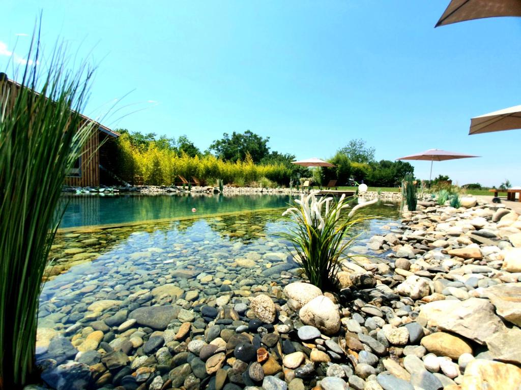 a pool of water with rocks in a yard at Les Granges de Jules in Lafitte-Vigordanne