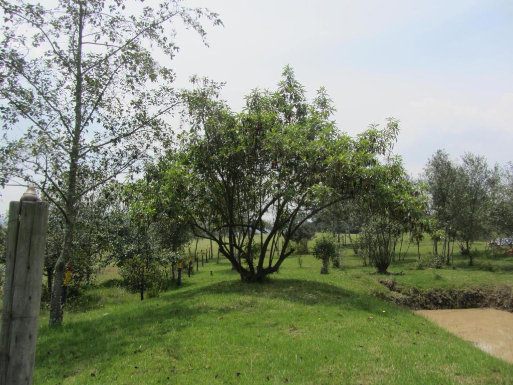 Zahrada ubytování Ecohotel, Finca Colinas y Senderos