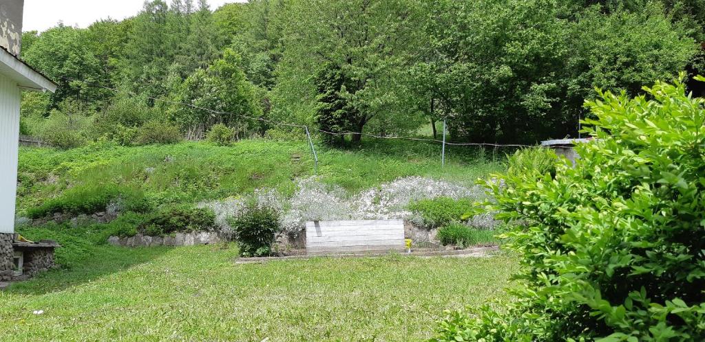 Vonkajšia záhrada v ubytovaní Apartament przy Mickiewicza