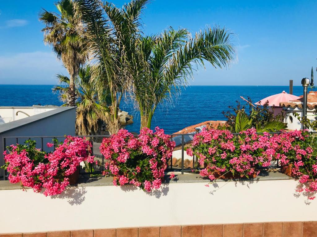 a bunch of pink flowers on a white wall at Blue54 - Pozzillo sul mare fra l'Etna e Taormina in Pozzillo