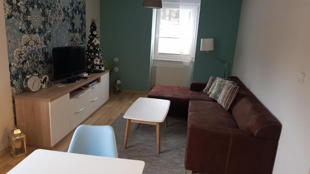 Televízia a/alebo spoločenská miestnosť v ubytovaní Apartament Jagoda