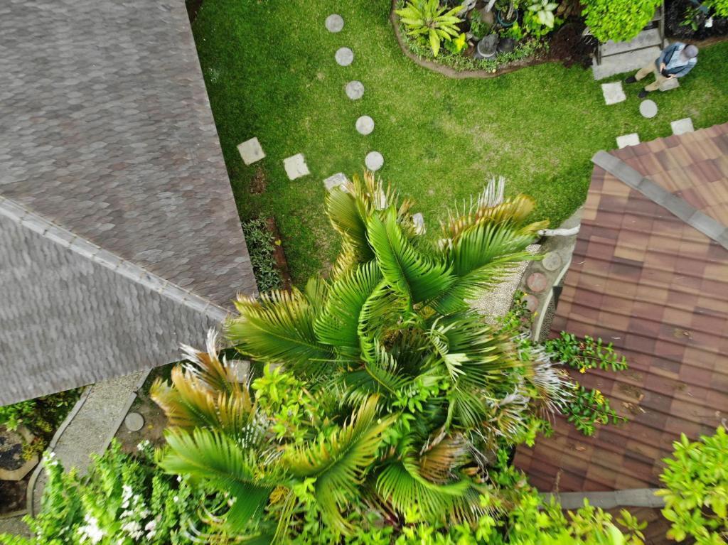 een uitzicht over een gazon met palmbomen bij Bale Asri Bukit Jimbaran in Jimbaran
