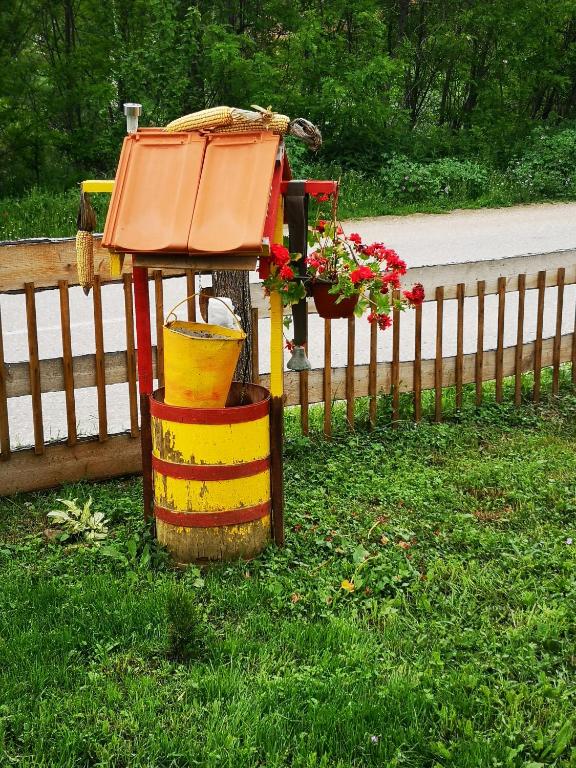 Zahrada ubytování VILA BOJANA