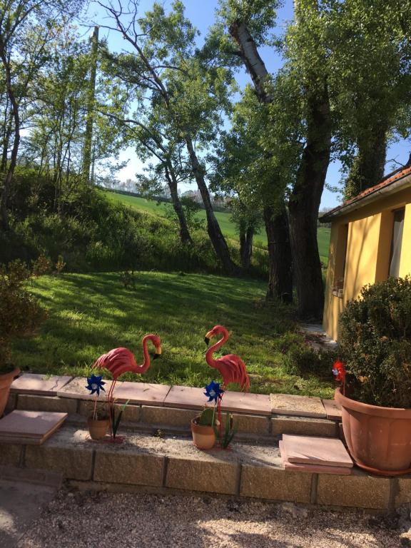 A garden outside Agriturismo Fattoria del Colle