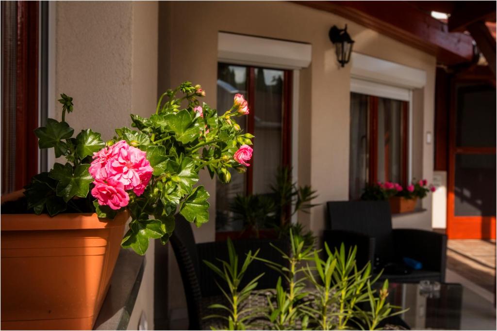 Zahrada ubytování Róma Apartmanház