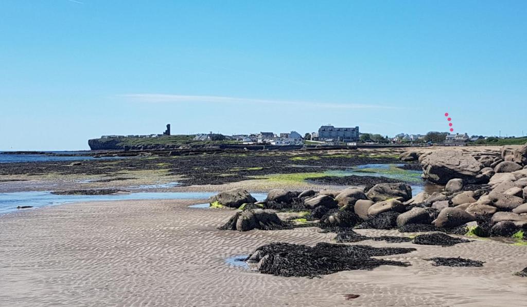 a group of rocks on a sandy beach at Bay View House in Liscannor