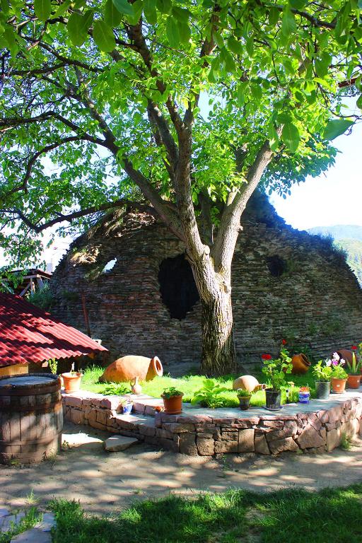 Giardino di Hotel Beni