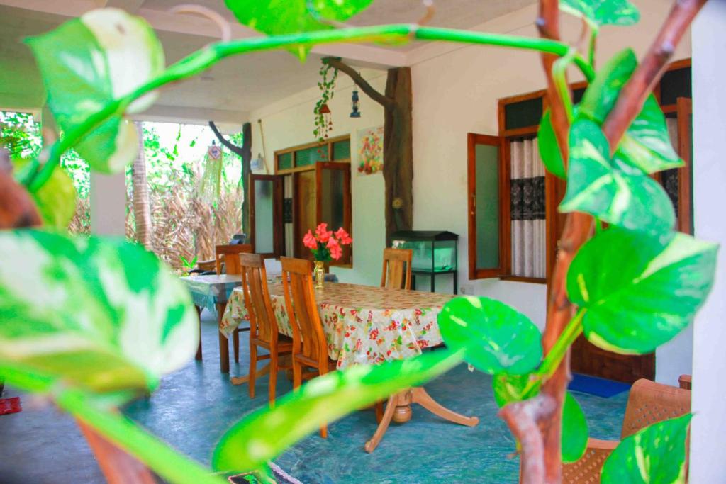 Fotografie z fotogalerie ubytování Amba Sewana Homestay v destinaci Sigiriya