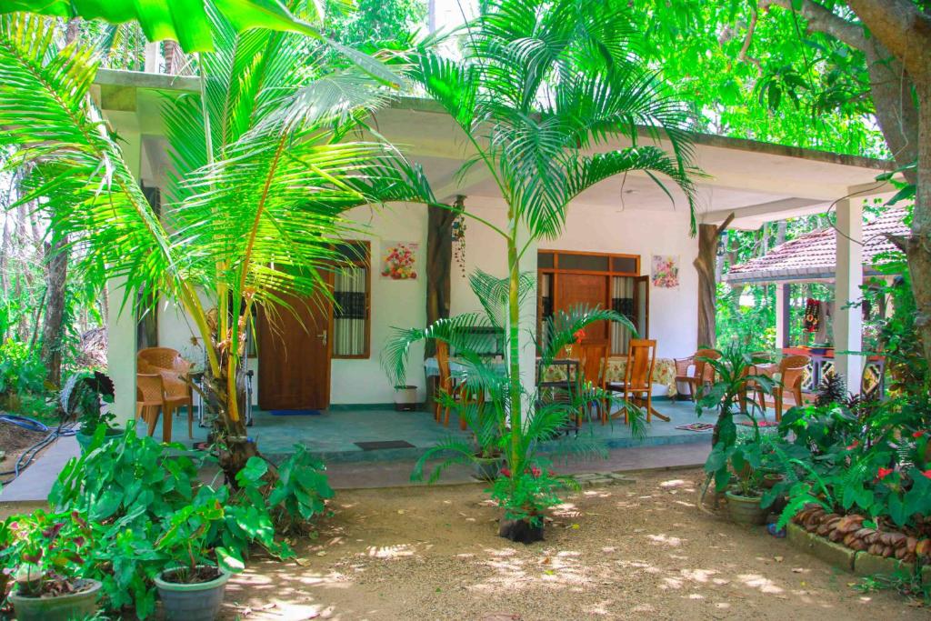 a house with a bunch of palm trees in the yard at Amba Sewana Homestay in Sigiriya