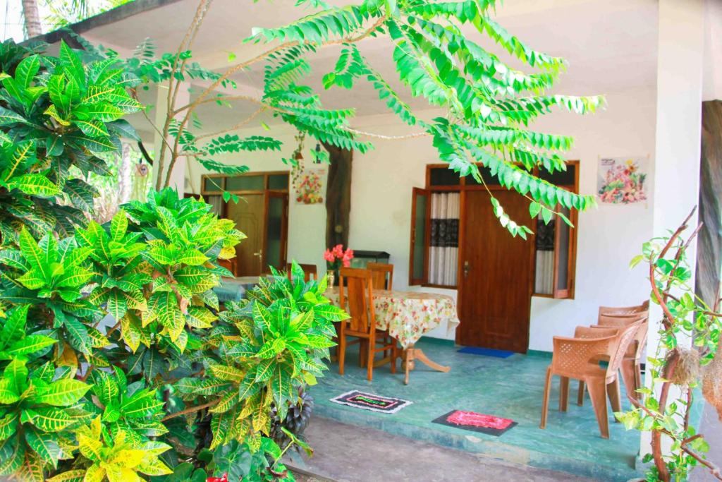 Zahrada ubytování Amba Sewana Homestay