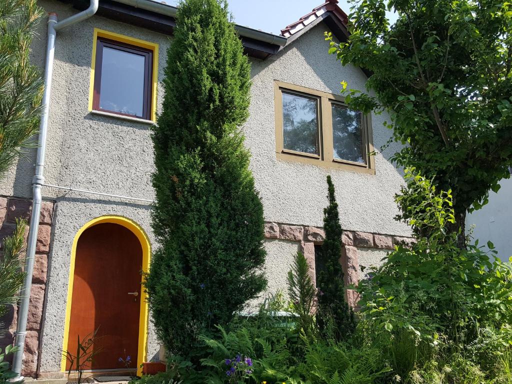 a house with a tree in front of it at Ferienhaus Am Kirchberg in Kurort Steinbach-Hallenberg