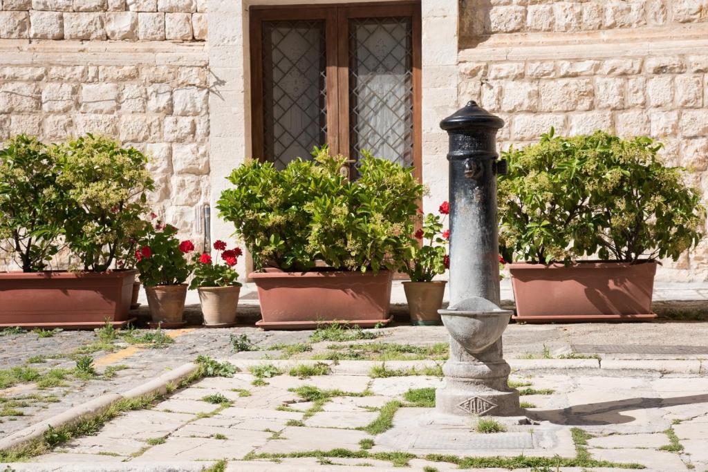 Ogród w obiekcie Piazza Duomo - Medieval Puglia's House