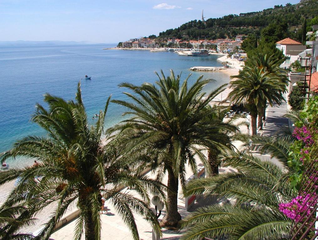 a view of a beach with palm trees and the ocean at Villa DELFINA in Podgora