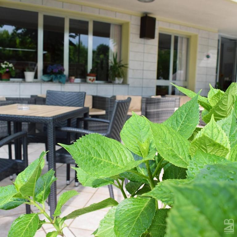 Fotografie z fotogalerie ubytování Hotel Gattuccio v destinaci Cesenatico