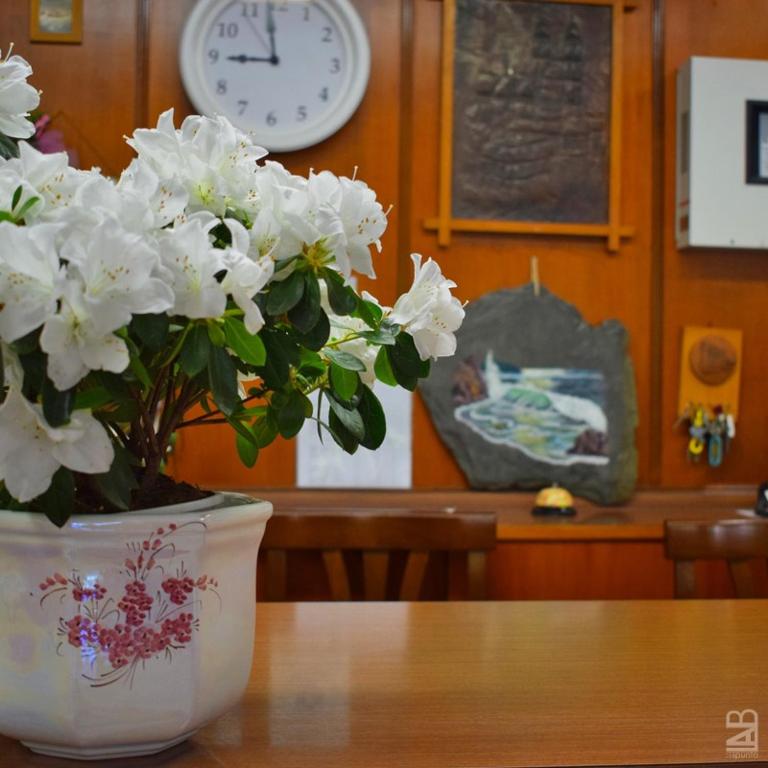 Fotografie z fotogalerie ubytování Hotel Gattuccio v destinaci Cesenatico