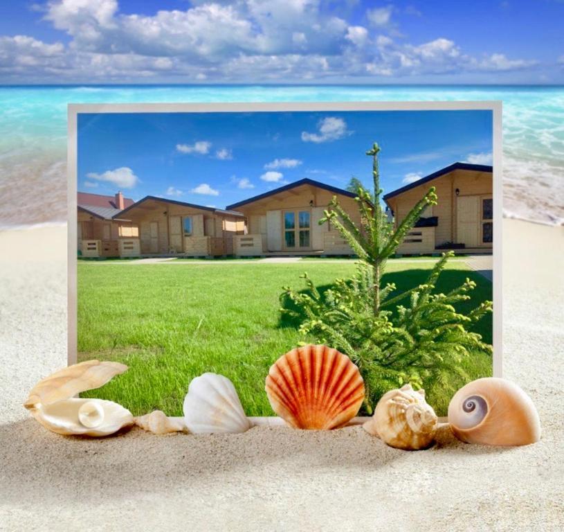 a picture of shells on the sand in front of a house at Osada Familia in Sarbinowo