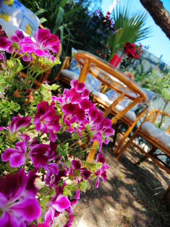 Zahrada ubytování LUMIE DI SICILIA