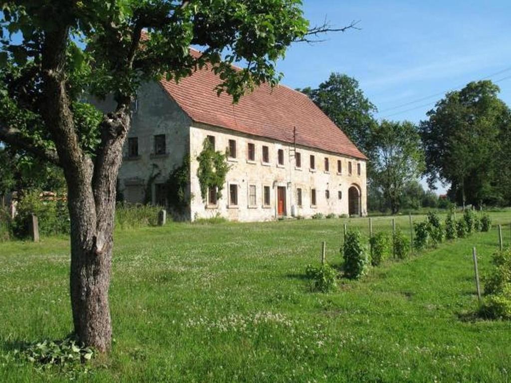 un gran edificio blanco con un árbol en un campo en Agroturystyka Dom pod Sową, en Nawojów Łużycki