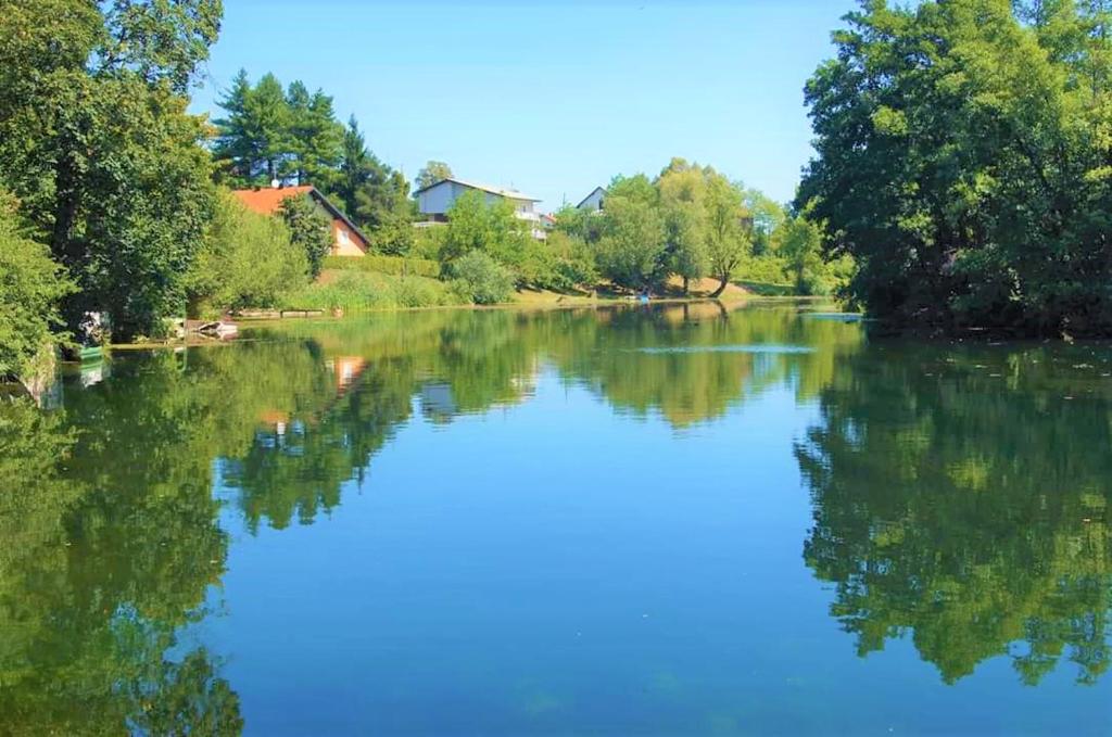 Příroda nedaleko apartmánu
