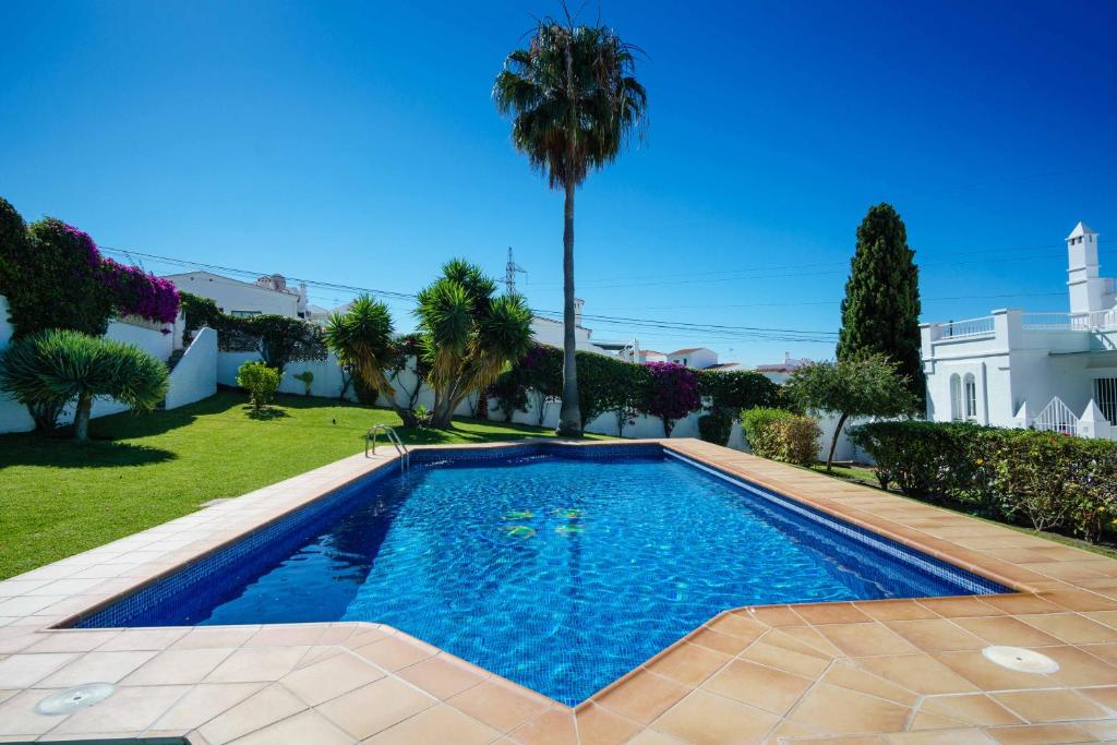 uma piscina num quintal com uma palmeira em Villa Angie em Nerja