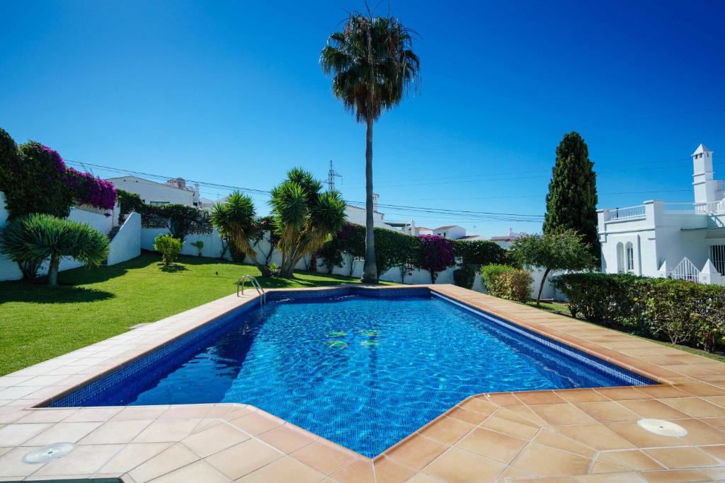 a swimming pool in a yard with a palm tree at Villa Angie in Nerja