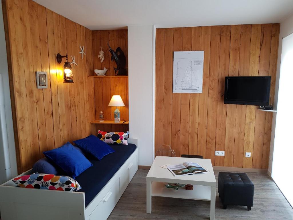ein Wohnzimmer mit einem Sofa und einem TV in der Unterkunft 60m2, 2 chambres proche Hérault & plages in Agde