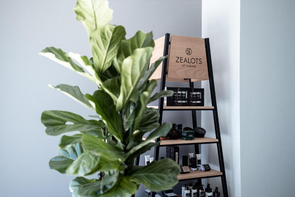 31 Doors Hotel - Resim 28