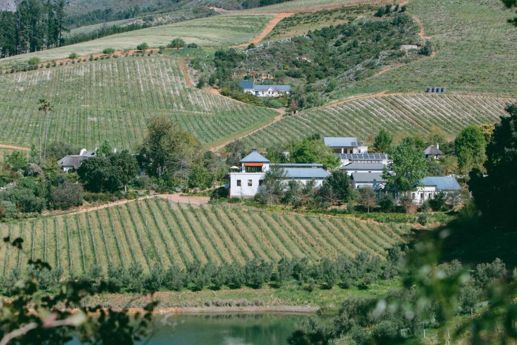 a village in a vineyard next to a lake at Bartinney Private Cellar Banhoek in Stellenbosch