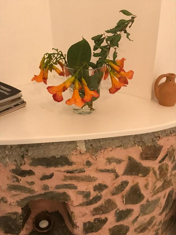 Farmers House - Holiday Home