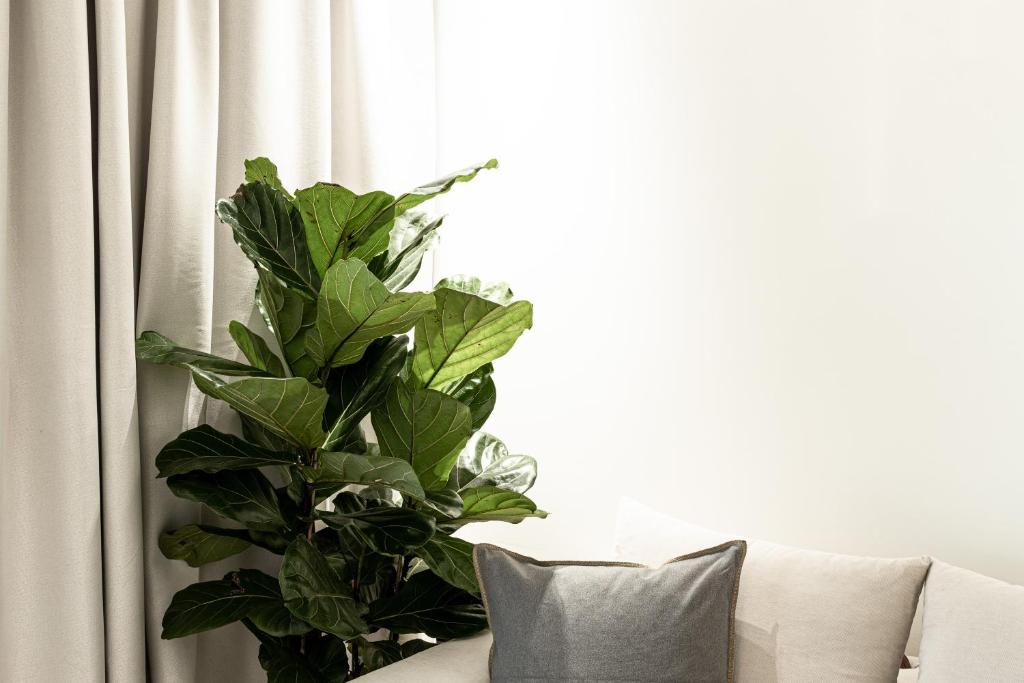 31 Doors Hotel - Resim 22