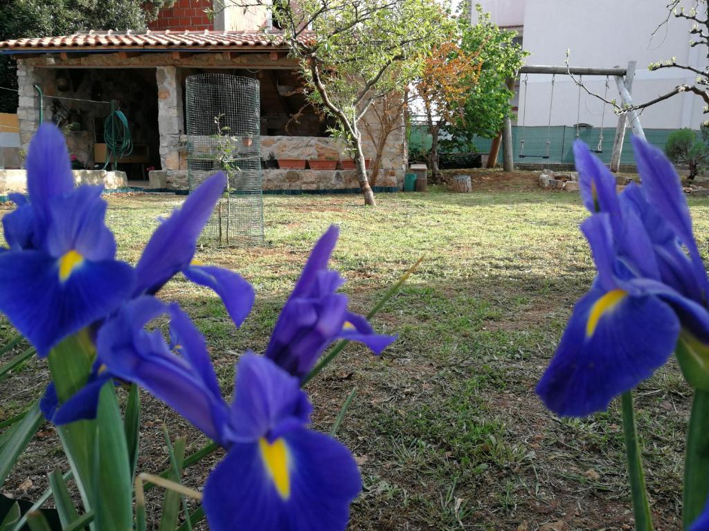 Κήπος έξω από το Apartments Gorka
