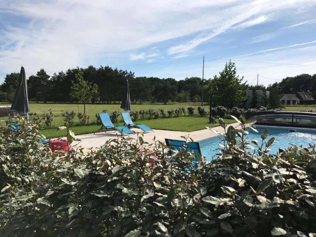 a pool with chairs and umbrellas in a yard at La Levraudière in Cheverny