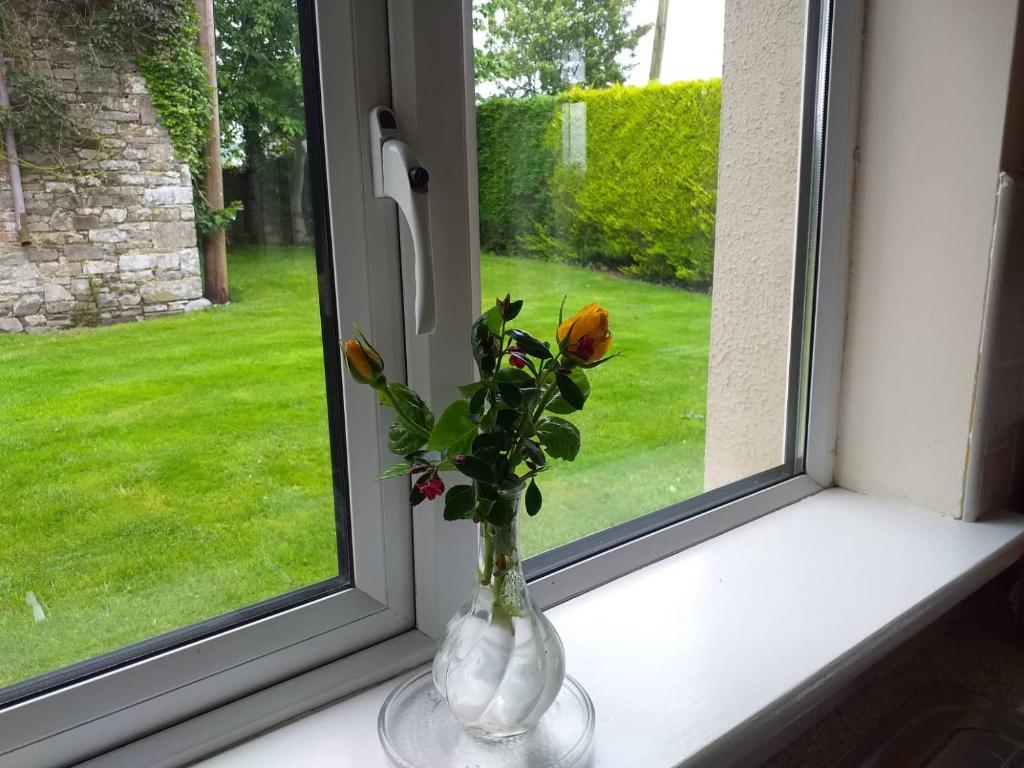 a vase filled with flowers sitting on a window sill at Nick & Sandra's in Slane