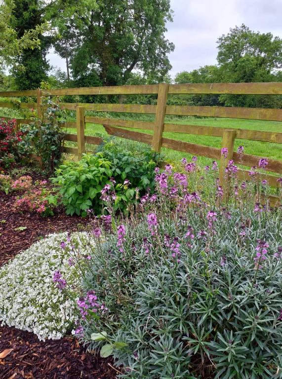 a garden with flowers in front of a wooden fence at Nick & Sandra's in Slane