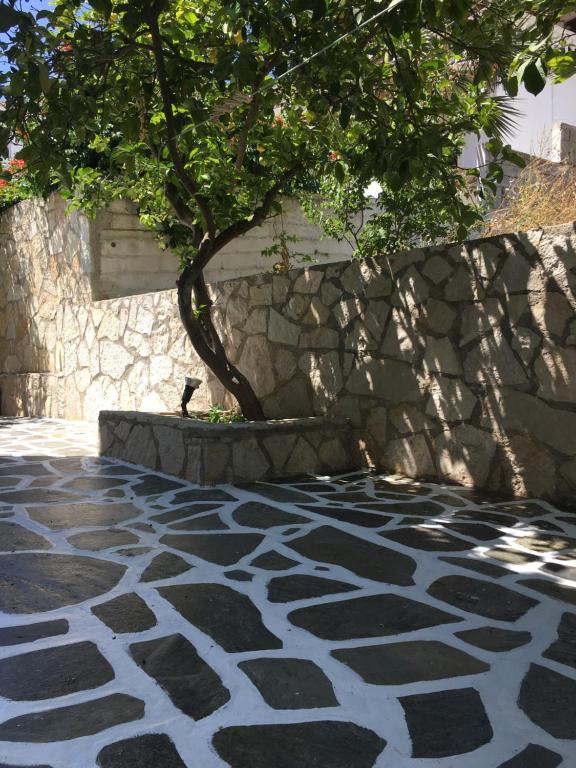 Fotografie z fotogalerie ubytování LEVANTA HOTEL SPETSES v destinaci Spetses