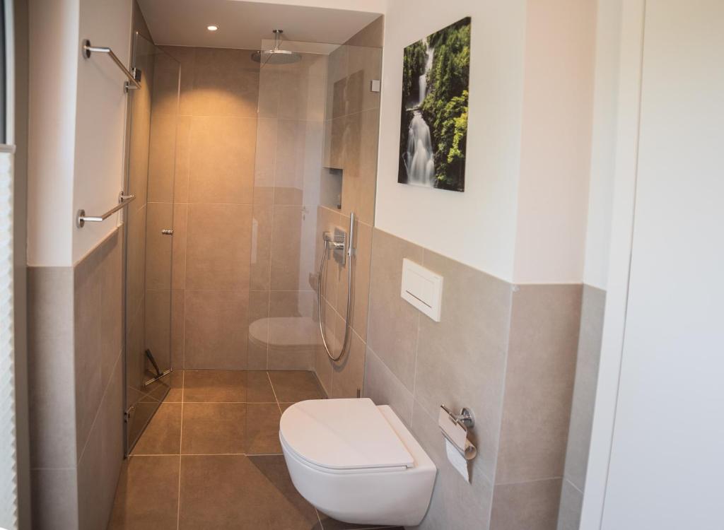 a bathroom with a toilet and a shower at Seaside-Lodge, Top Apartment in Spiez